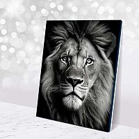 Картина по номерам чёрный холст Котеин "Взгляд льва" 40*50см MB0005 (8цв.)