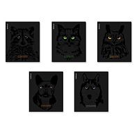 Тетрадь 48л. (клетка) EK "Gaze" 60619 лам.soft-touch,выб.уф-лак,асс.