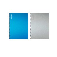 Тетрадь 80л. (клетка) А4 EK пластик.обл. спираль "Ice Metallic" 54124 асс.