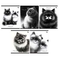 Тетрадь 48л. (клетка) BG "Пушистые коты" 63531 асс.