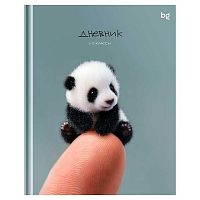 Дневник 1-11кл. BG тв.обл. "Пандочка" 62216 мат.лам.