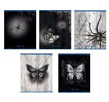 Тетрадь 48л. (клетка) ПЗБФ "Паутина" 023850 выб.уф-лак,лам.,асс.