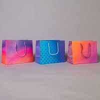 Пакет подар. Микрос 23*18см Женский Ч54837 мат.лам.,асс.