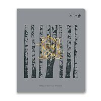 Тетрадь предм. 48л. СВЕТОЧ пластик.обл. "Архивариус-Русский язык" Т291 (01882) тисн.фольг.(линейка)
