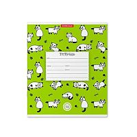 Тетрадь 12л. (клетка) EK "Cats зелёный" 46530