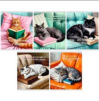 Тетрадь 48л. (клетка) ЭКСМО "Кот и лень" ТКК489676 мел.карт.,глянц.лам.,конгрев