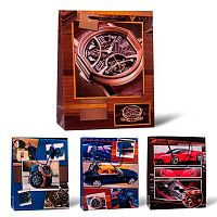 Пакет подар. бум. ПГС "Мужской" 18*24см Р-10738-15 Акпб631