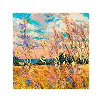 УЦЕНКА Раскраска по номерам с зол. поталью Рыжий кот 40*40см "Полевые цветы" Х-4216 (30цв.)