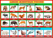 0.0-02-290 Плакат А2 "Дикие животные России" (МО)