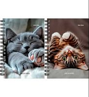 Записная книжка А6 120л. Проф-Пресс спираль "Милые котики-6" ЗК120-3019 цв.мел.обл.