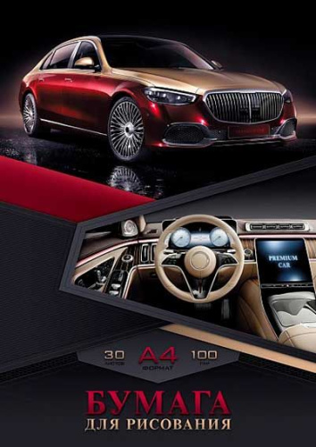 Папка для рисования А4 30л. ХАТ "Premium car" 29655 тисн.100г/м2