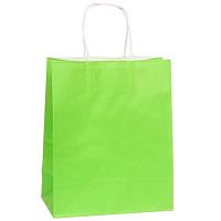 Пакет подар. "Классика, салатовый" 27*22*11см 775-0746