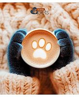 Тетрадь 48л. (линейка) АППЛИКА "Пушистые лапки" С2549-120 мел.карт.