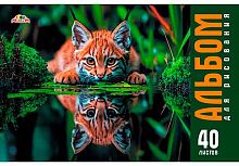 Альбом для рис.40л. АППЛИКА "Дикий котёнок" С0220-70 цв.мел.обл.