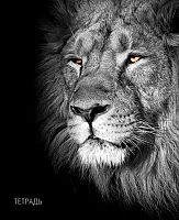 Тетрадь 40л. (клетка) АППЛИКА "Лев" С6046-41 обл.мел.карт.